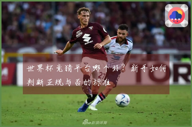 世界杯竞猜平台哪个好？新手如何判断正规与否的标准