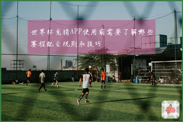 世界杯竞猜APP使用前需要了解哪些赛程配合规则和技巧
