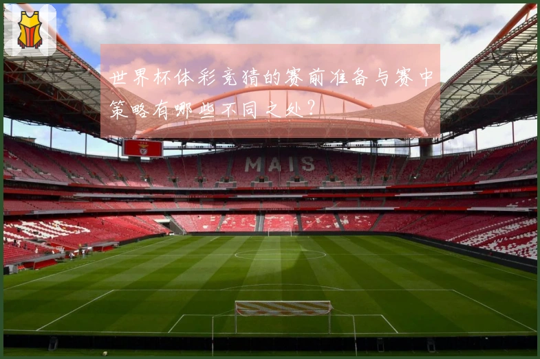 世界杯体彩竞猜的赛前准备与赛中策略有哪些不同之处？