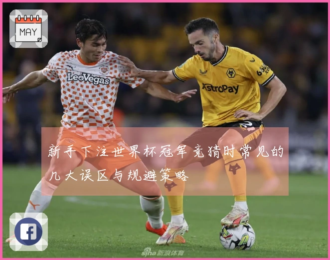 新手下注世界杯冠军竞猜时常见的几大误区与规避策略