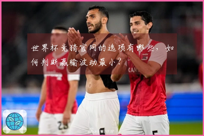 世界杯竞猜官网的选项有哪些，如何判断赢输波动最小？
