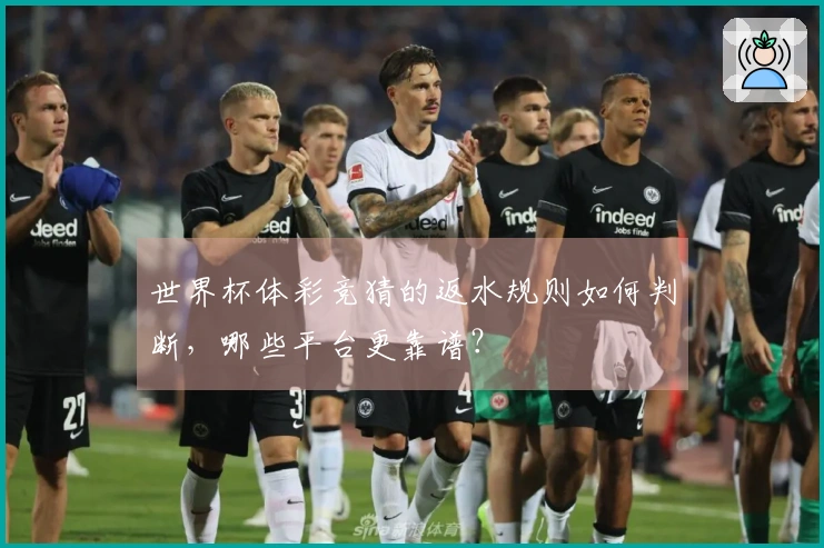 世界杯体彩竞猜的返水规则如何判断，哪些平台更靠谱？