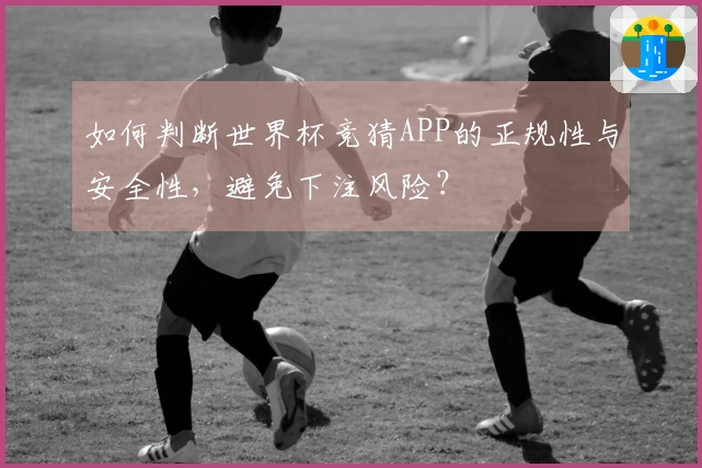 如何判断世界杯竞猜APP的正规性与安全性，避免下注风险？
