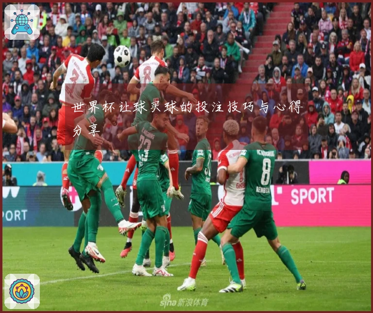 世界杯让球买球的投注技巧与心得分享