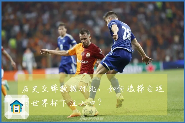 历史交锋数据对比，如何选择合适的世界杯下注入口？