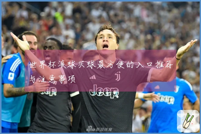 世界杯滚球买球最方便的入口推荐与注意事项
