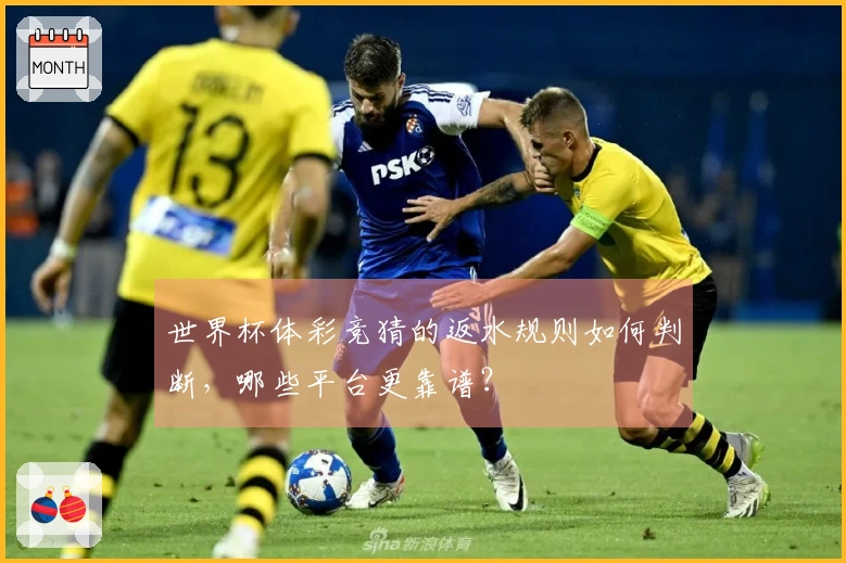 世界杯体彩竞猜的返水规则如何判断，哪些平台更靠谱？