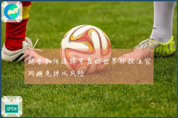 新手如何选择可靠的世界杯投注官网避免掉坑风险