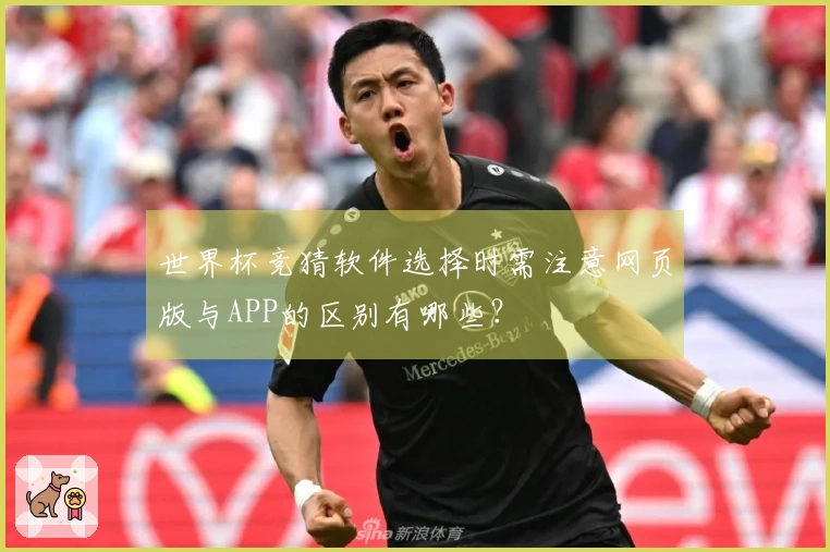 世界杯竞猜软件选择时需注意网页版与APP的区别有哪些？