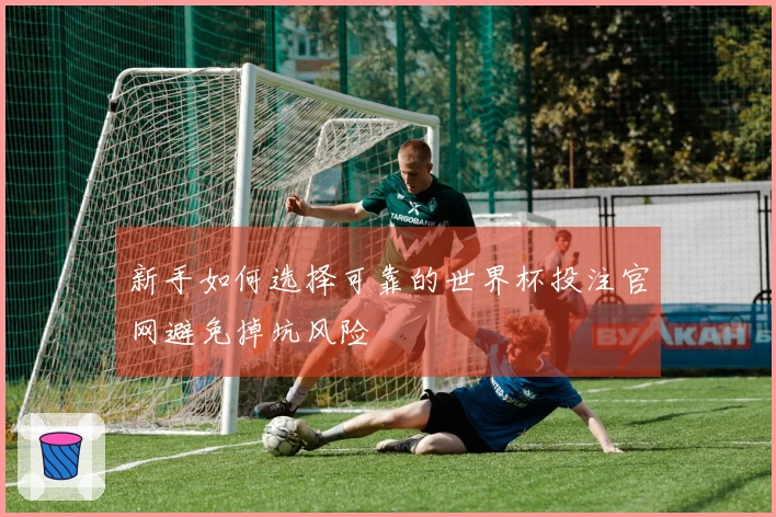 新手如何选择可靠的世界杯投注官网避免掉坑风险