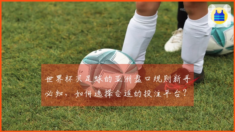 世界杯买足球的亚洲盘口规则新手必知，如何选择合适的投注平台？