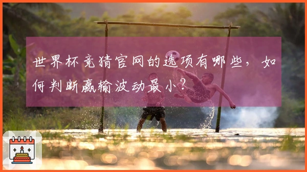 世界杯竞猜官网的选项有哪些，如何判断赢输波动最小？