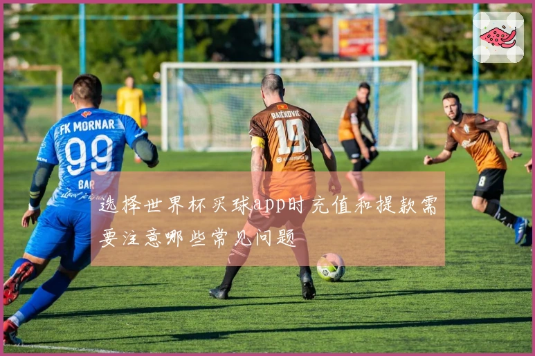 选择世界杯买球app时充值和提款需要注意哪些常见问题