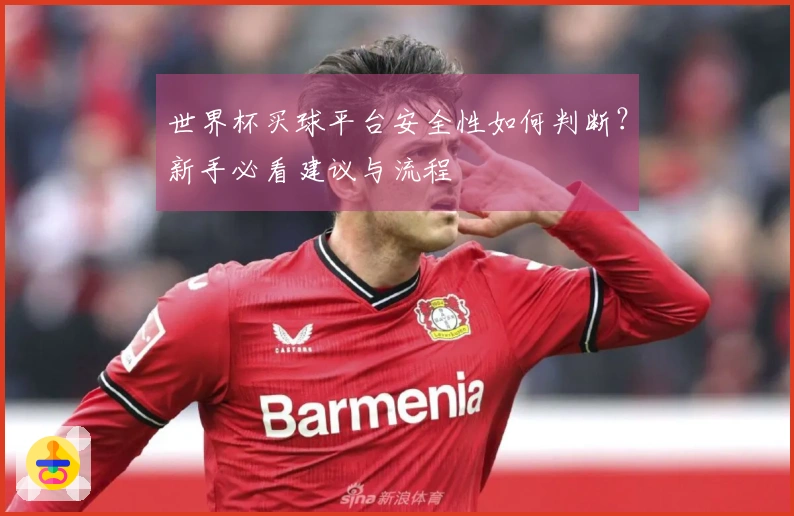 世界杯买球平台安全性如何判断？新手必看建议与流程
