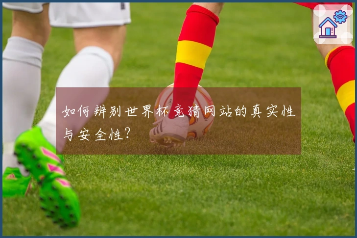 如何辨别世界杯竞猜网站的真实性与安全性？