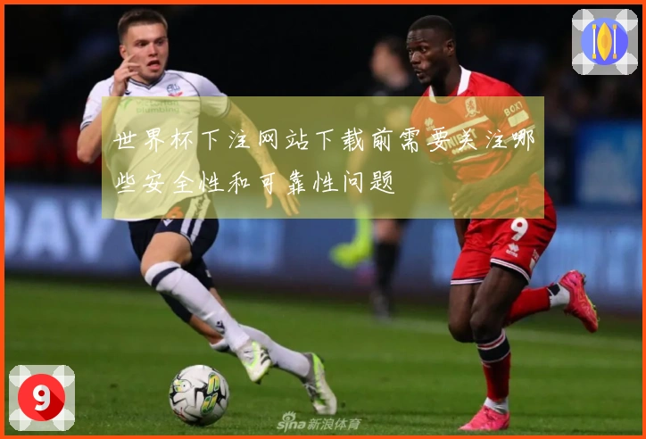 世界杯下注网站下载前需要关注哪些安全性和可靠性问题