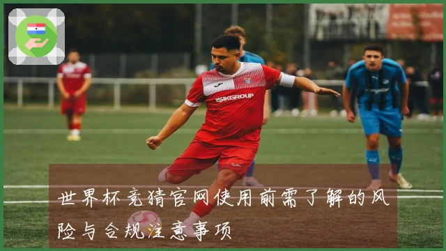 世界杯竞猜官网使用前需了解的风险与合规注意事项