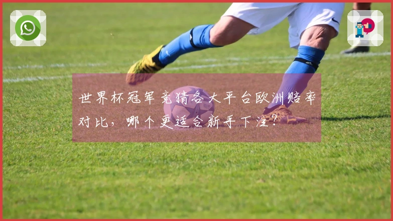 世界杯冠军竞猜各大平台欧洲赔率对比，哪个更适合新手下注？