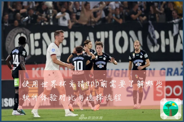 使用世界杯竞猜app前需要了解哪些软件体验对比与选择流程