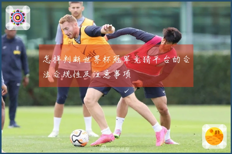 怎样判断世界杯冠军竞猜平台的合法合规性及注意事项