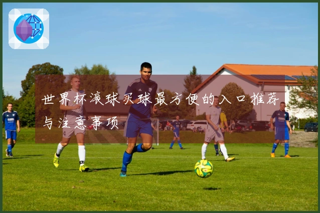 世界杯滚球买球最方便的入口推荐与注意事项